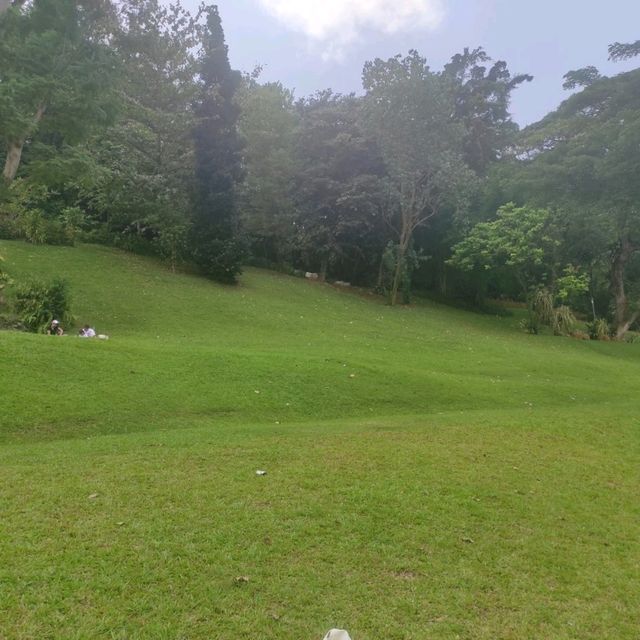 Fort Canning Park, a historic oasis in Singapore