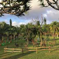  熱帶探險：暢遊東南植物樂園！🌴🌺🌿