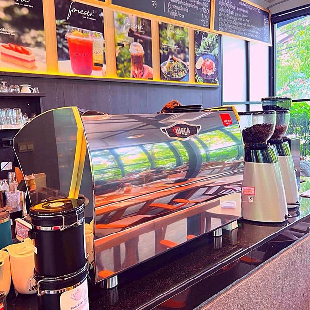 🎁คาเฟ่ฟิลป่าอะเมซอล