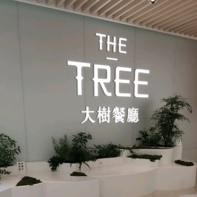 樹葉婆娑！綠意盎然！超有意境大樹餐廳