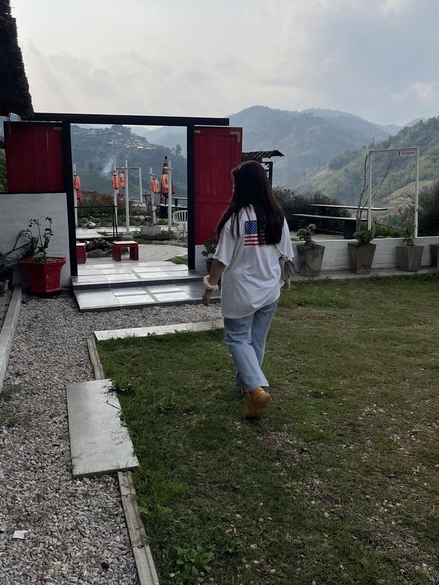 ไร่ชาวังพุดตาล บรรยากาศดีแบบ100% ⛩️🌱🍃