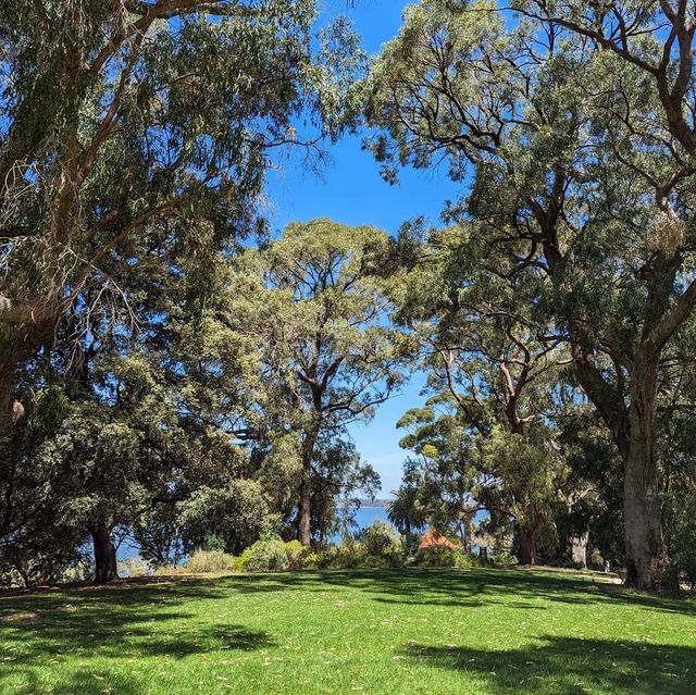 Kings Park, Perth 🇦🇺