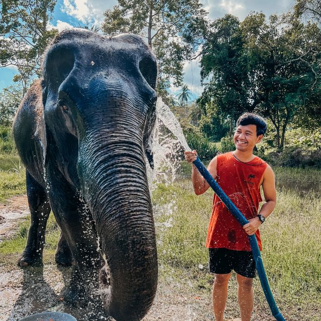 มาทำเค้กให้น้องช้างกินกัน ที่ เกาะสมุย 🎂🍰🧁