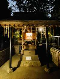 【東京都/上野東照宮】夢叶う光の夜