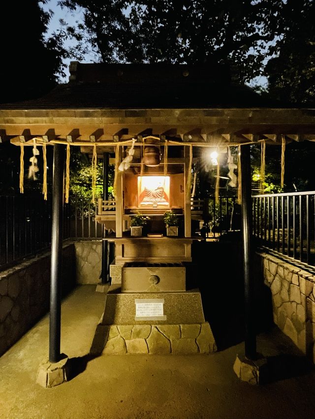 【東京都/上野東照宮】夢叶う光の夜