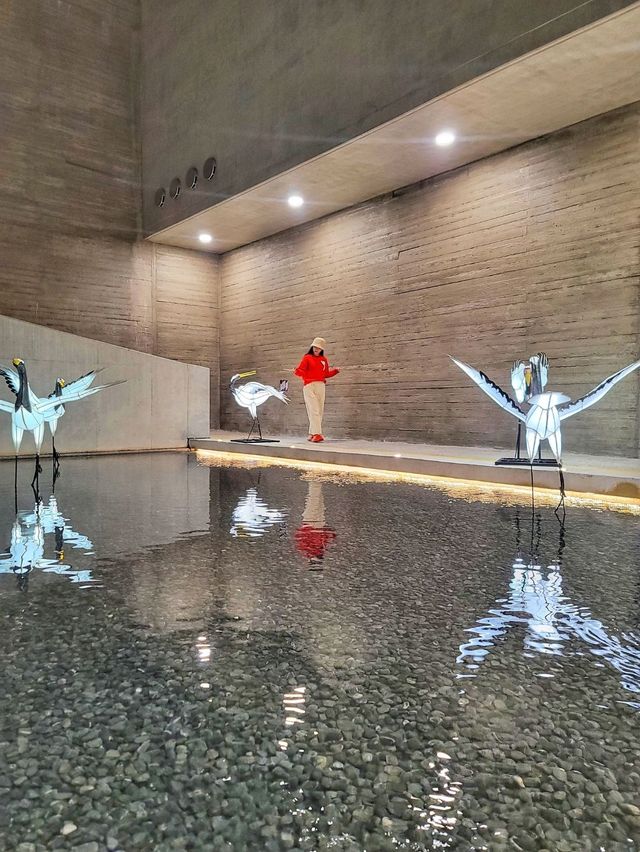 빛나는 진주유등을 상시로 볼수 있는 곳✨️