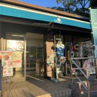 関東にもこんな美しい紅葉見れるぞ