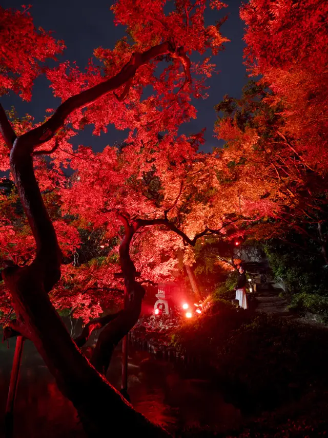 【これが無料で見れる！？🍁】八芳園で開催中の紅葉ライトアップが美しすぎる！✨