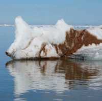 North Pole 90° unforgettable holiday