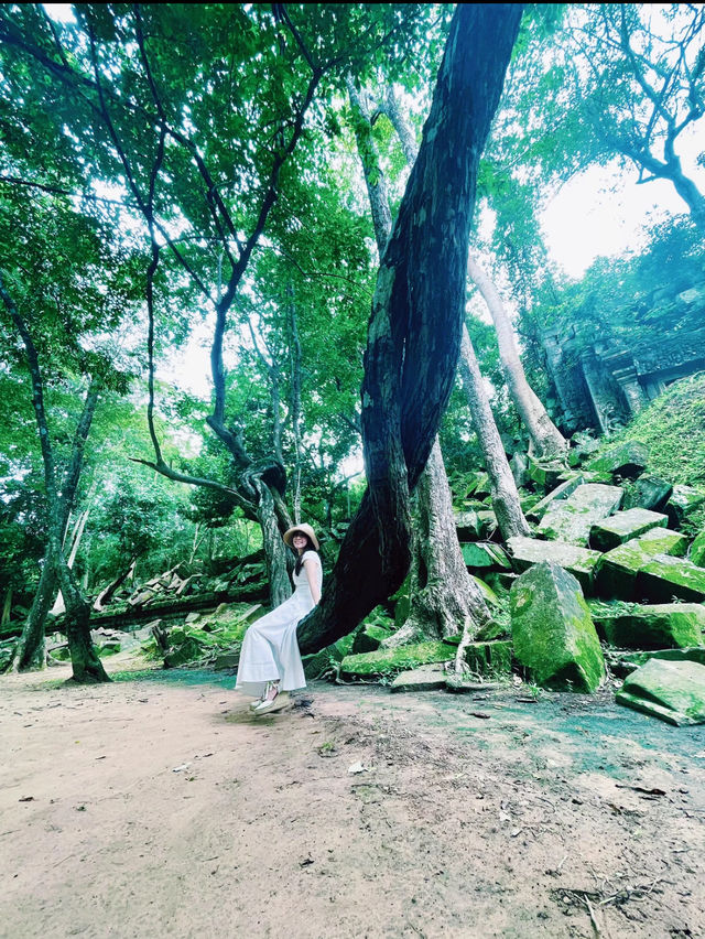 【絶景】まるでラピュタの世界！神秘的で美しいベンメリア遺跡🇰🇭