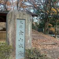 群馬県の日本百名城、金山城