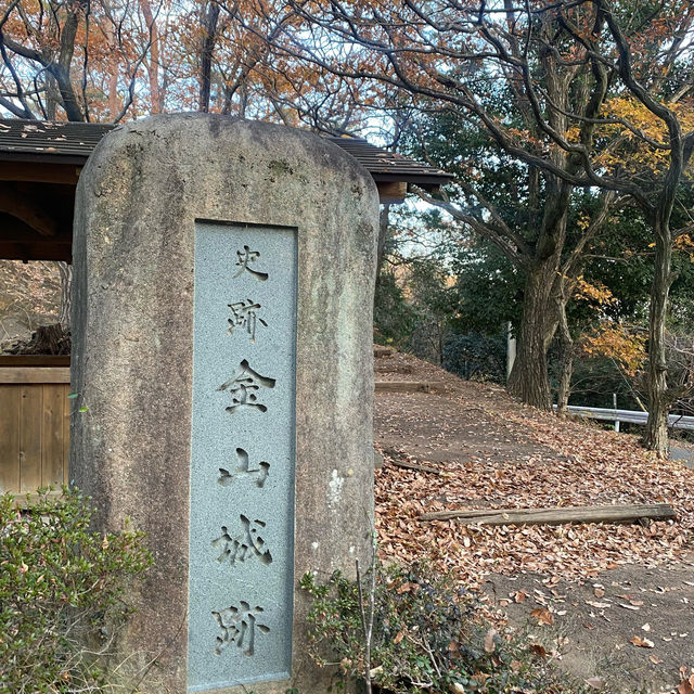 群馬県の日本百名城、金山城