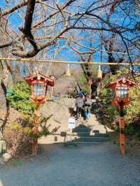 【新倉富士浅間神社】富士山が見える絶景神社で初詣☺️🗻⛩【山梨】