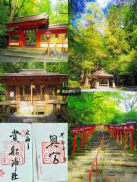 【初詣】2024年にお参りしたい！龍にまつわる神社5選⛩