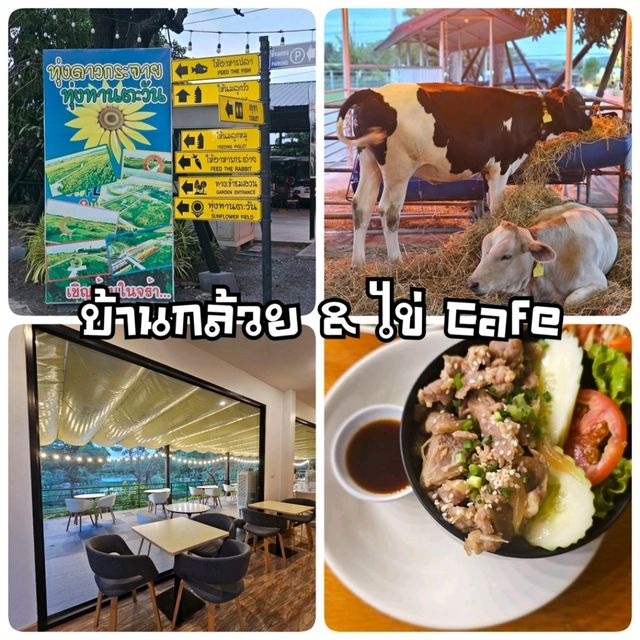 บ้านกล้วย & ไข่ Cafe จ.ลพบุรี