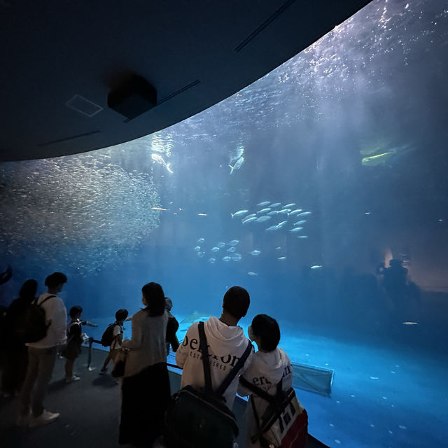 Fun filled time at Nagoya Port Aquarium 