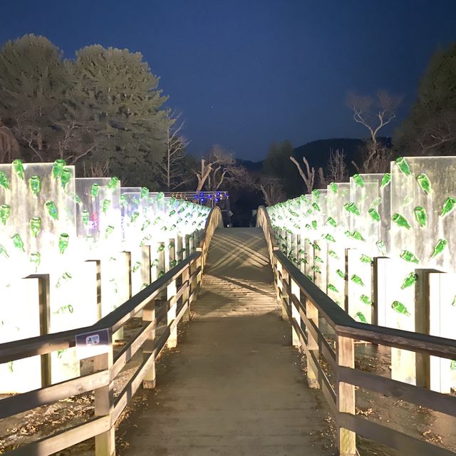 韓國加平站❤️南怡島❤️郊外聖誕風情