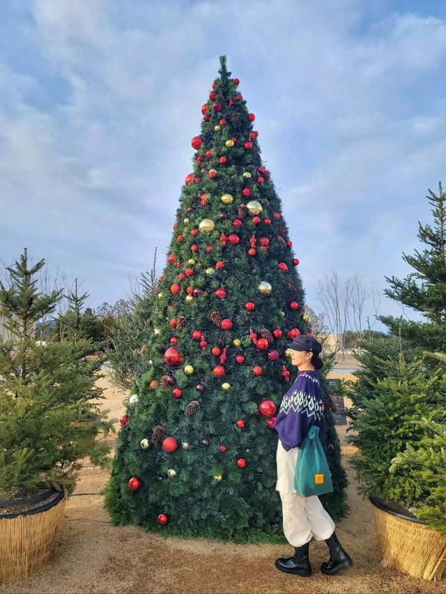 크리스마스 경주 트리맛집으로 핫했던 라한셀렉트경주🎄