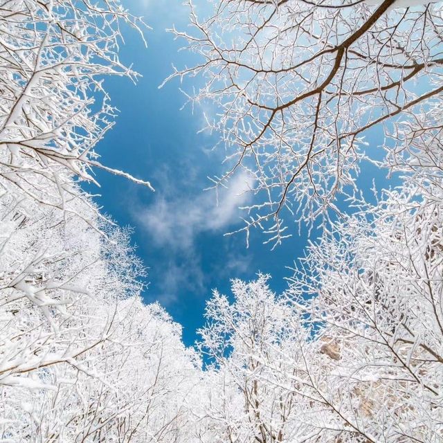 The beauty of Daedunsan covers by snow 