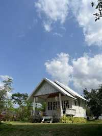 Wine Camp สระบุรี