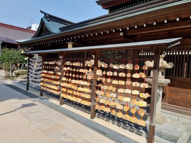 ⛩️후쿠오카 중심지에 있는 구시다 신사⛩️