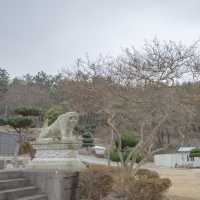 여수 겨울 바다와 동백 지장대사