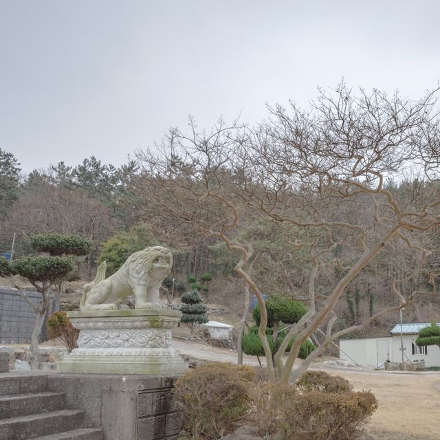 여수 겨울 바다와 동백 지장대사