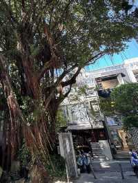 台北文青好去處‼️台北之家❣️光點台北😎