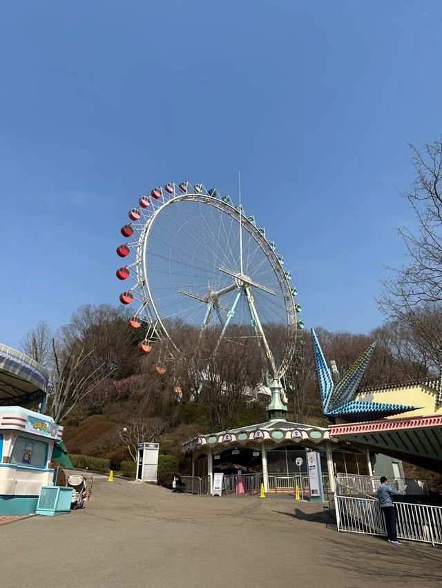 🇰🇷สวนสนุก Everland เกาหลีใต้ 🎡🎢 Korea trip