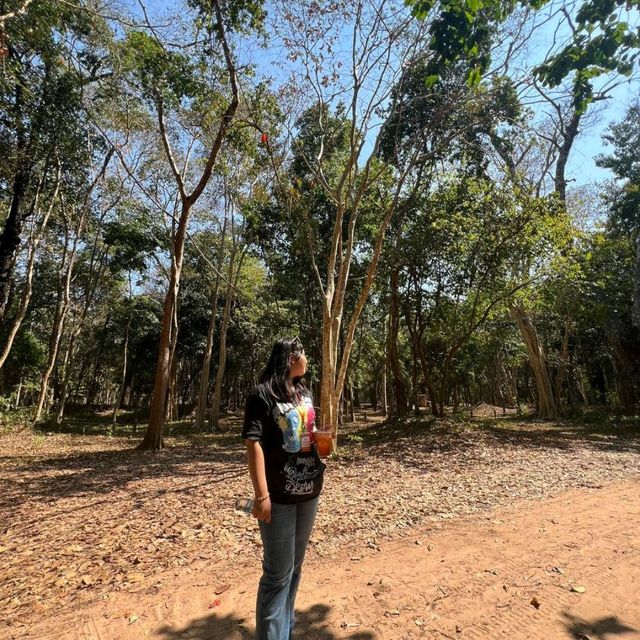 Sambor Prei Kuk Cambodia 