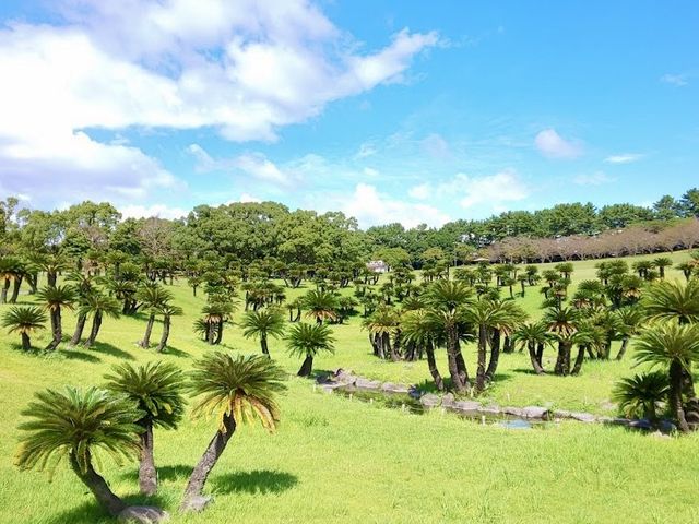 Yoshino Park kagoshima