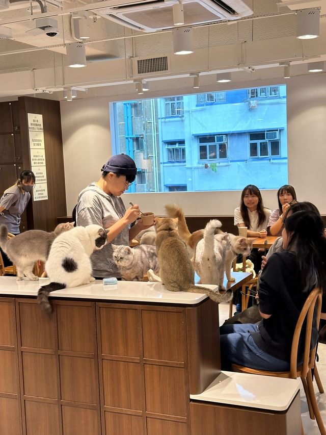 《Urban Cafe兆萬新店》