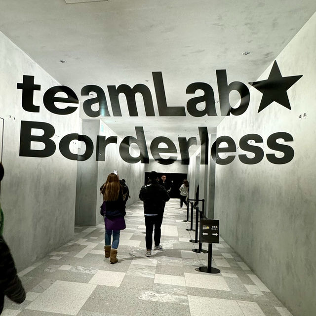 Immerse in teamLab Borderless, Tokyo