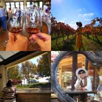 10 Must-Do Experiences in Perth