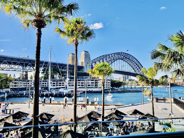 BridgeClimb Sydney