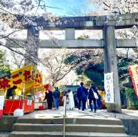 【上野東照宮/東京都】五重塔と桜が美しい神社