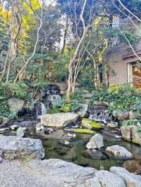 【東京|白金台】無料の日本庭園🌸