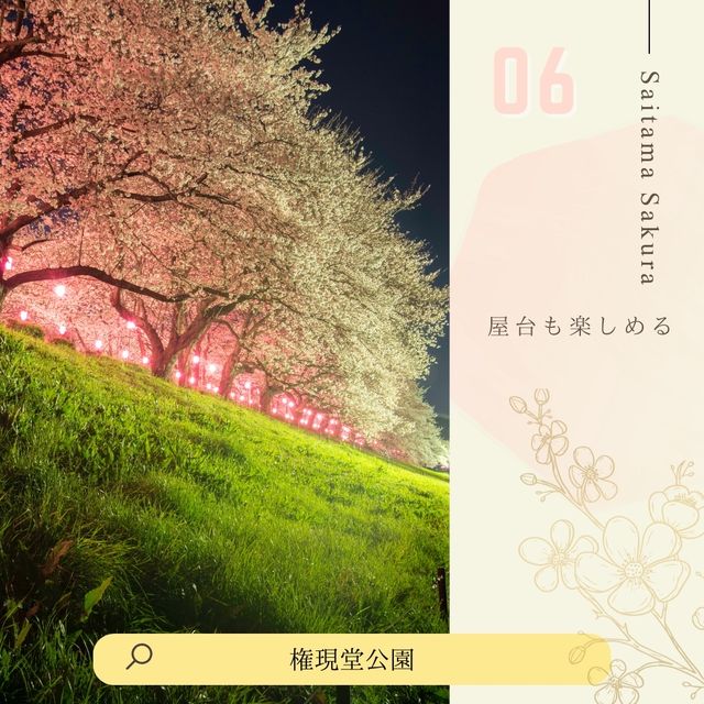 ドライブにおすすめ！埼玉桜散歩🚗🌸