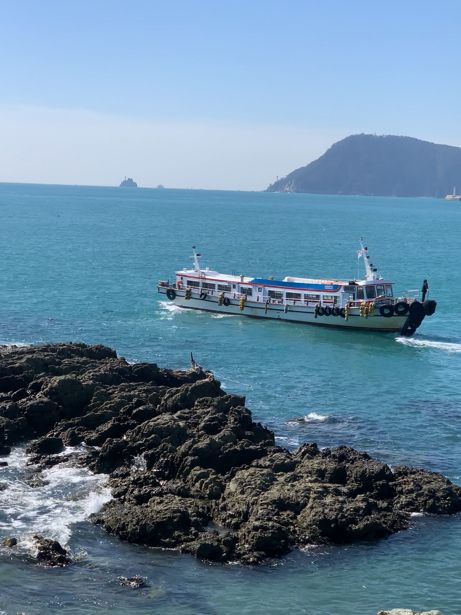 부산 오륙도 수선화 