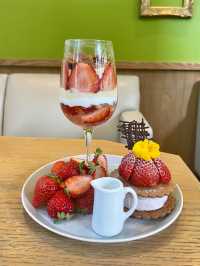 【福岡カフェ】店内にある見上げるぐらい大きなベンジャミンの木が印象的なカフェ