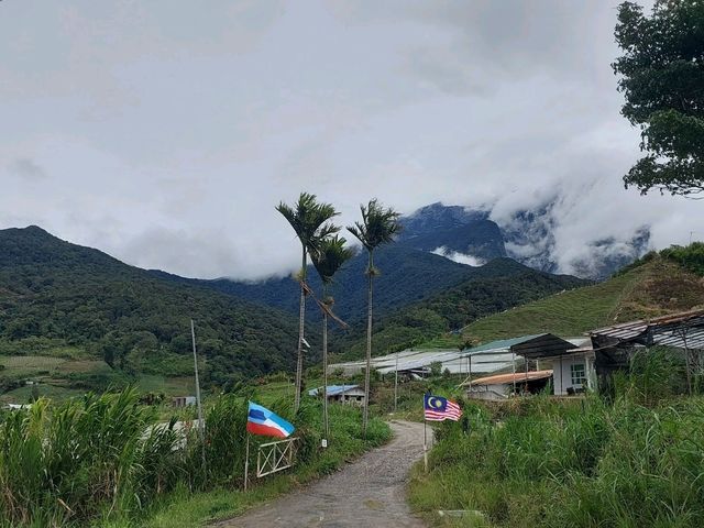 #WinHKFlight Kundasang Alpaca Club