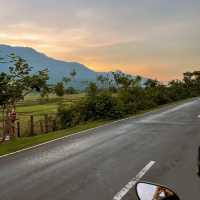 ปลาสาทหินวัดพู 