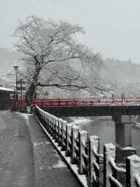 3月遊日遇上落雪！冰雪下的飛驒高山老街 