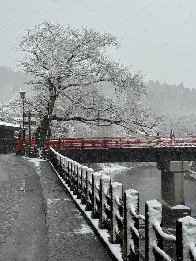 3月遊日遇上落雪！冰雪下的飛驒高山老街 