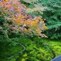 京都CMでも有名なスポット⭐瑠璃光院⭐