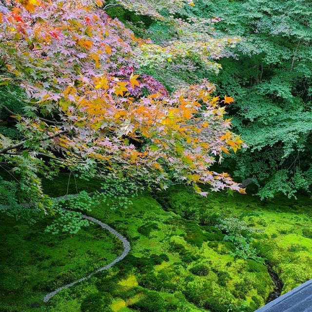 京都CMでも有名なスポット⭐瑠璃光院⭐