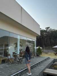 경기도 애견동반 가능한 카페 시숲