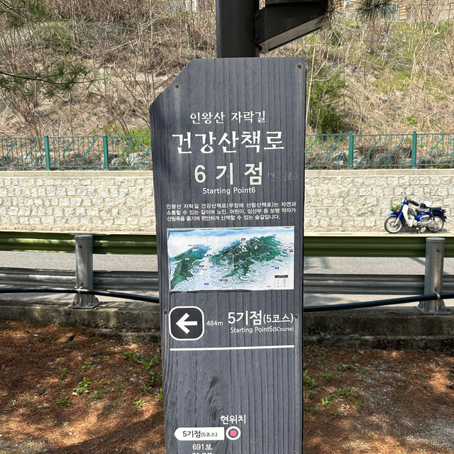 인왕산 자락길에서 즐기는 벚꽃놀이🌸