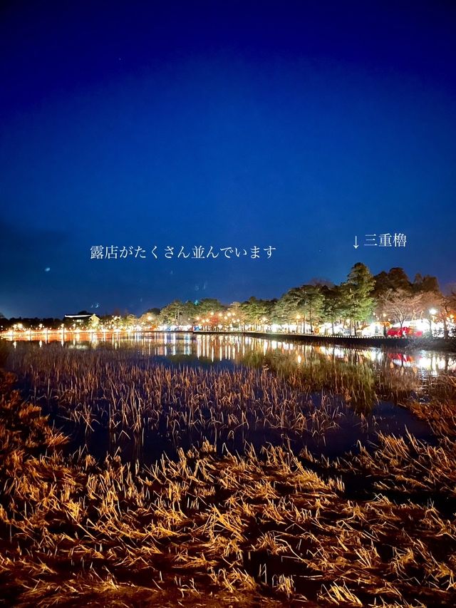 【新潟】一度は行きたい日本三大夜桜の観桜会