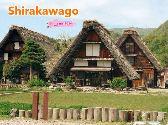 Shirakawago ฤดูใบไม้ผลิ